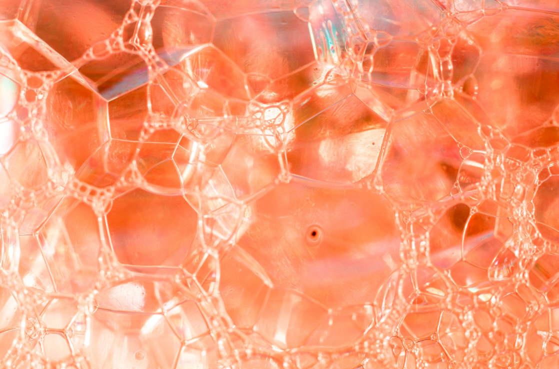 Inflammation and Oxidation: The Hidden Forces Behind Aging and How to Stop Them